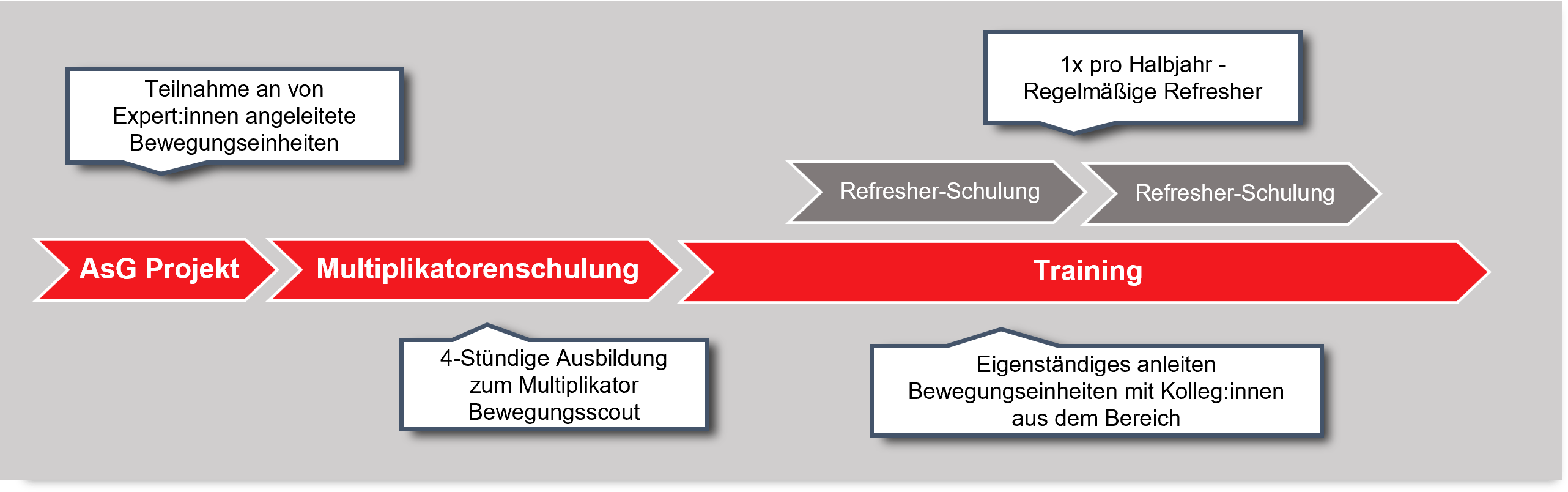 Zollner_Multisystem_Ablauf Zollner Multisystem Ablauf